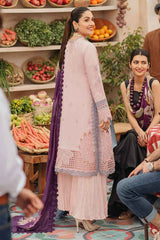 MUSHQ – 2004